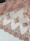 Beaded Floral Fabric - Blush - Floral Cluster Design Fabric with Damask Border by Yard