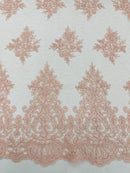 Damask Border Corded Lace - Blush Pink - Floral Cluster Design Damask Border on Lace Fabric Yard