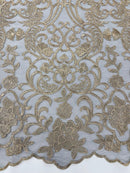 Fancy Damask Lace Fabric - Champagne on Black - Embroidered Damask Design Mesh on Lace Fabric by Yard