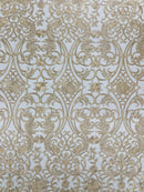 Fancy Damask Lace Fabric - Champagne on Black - Embroidered Damask Design Mesh on Lace Fabric by Yard