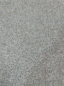 Pearl Sequins Bead Fabric - Clear on Off-White - Small Beads and Sequins Embroidered on Lace By Yard