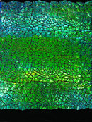 Mirror Sequins Velvet Fabric - Iridescent Green - Large Shiny Mirror Cut Sequins By Yard