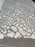 Leopard Sequins Fabric - White - Animal Print Shiny Sequins Design 2 Way Stretch Sold By The Yard