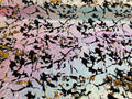 Reversible Velvet Sequins - Unicorn / Gold - 2 Way Stretch Shiny Sequins Fabric on Black Velvet
