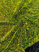 Stretch Velvet Sequins Fabric - Lime Green on Black - Velvet Sequins 2 Way Stretch 58/60” By Yard