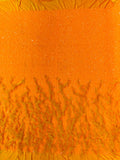 Feather Sequin Velvet Fabric - Neon Orange - 5mm Sequins Velvet 2 Way Stretch 58/60" Fabric By Yard