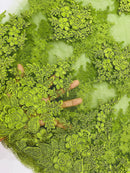 Corded Floral 3D Fabric - Olive Green - Embroidered Floral Design on Lace Mesh Fabric by Yard