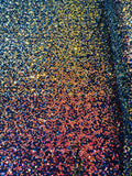 Multi-Color Sequins Mesh - Rainbow - Shiny Sequins Design on Spandex Mesh Fabric By Yard