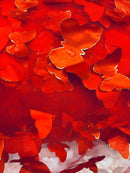 3D Butterfly Design Lace - Red - Embroidered Lace with 3D Butterfly Design By Yard