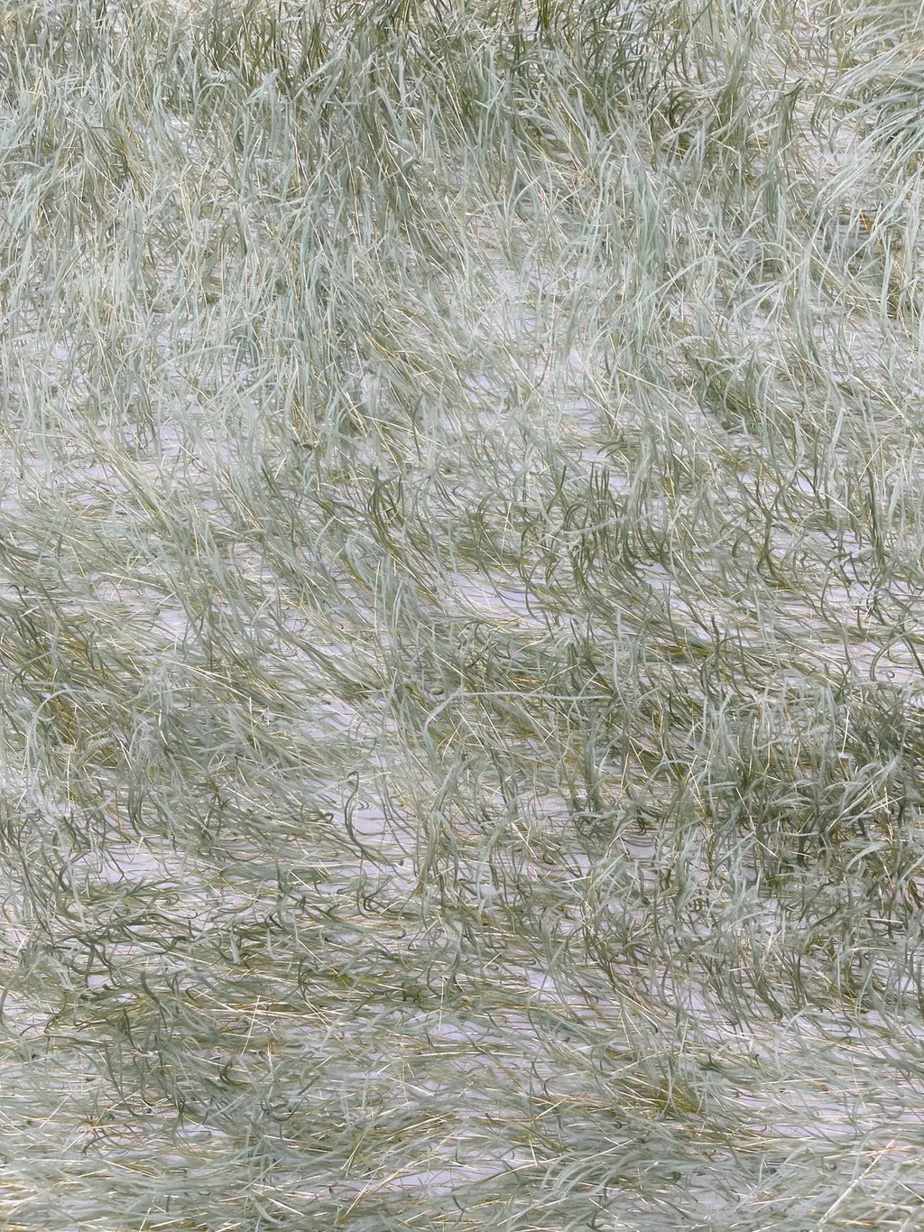 Metallic Eyelash Fabric - Sage Green / Gold - Feather/Eyelash/Fringe Design on Mesh By Yard