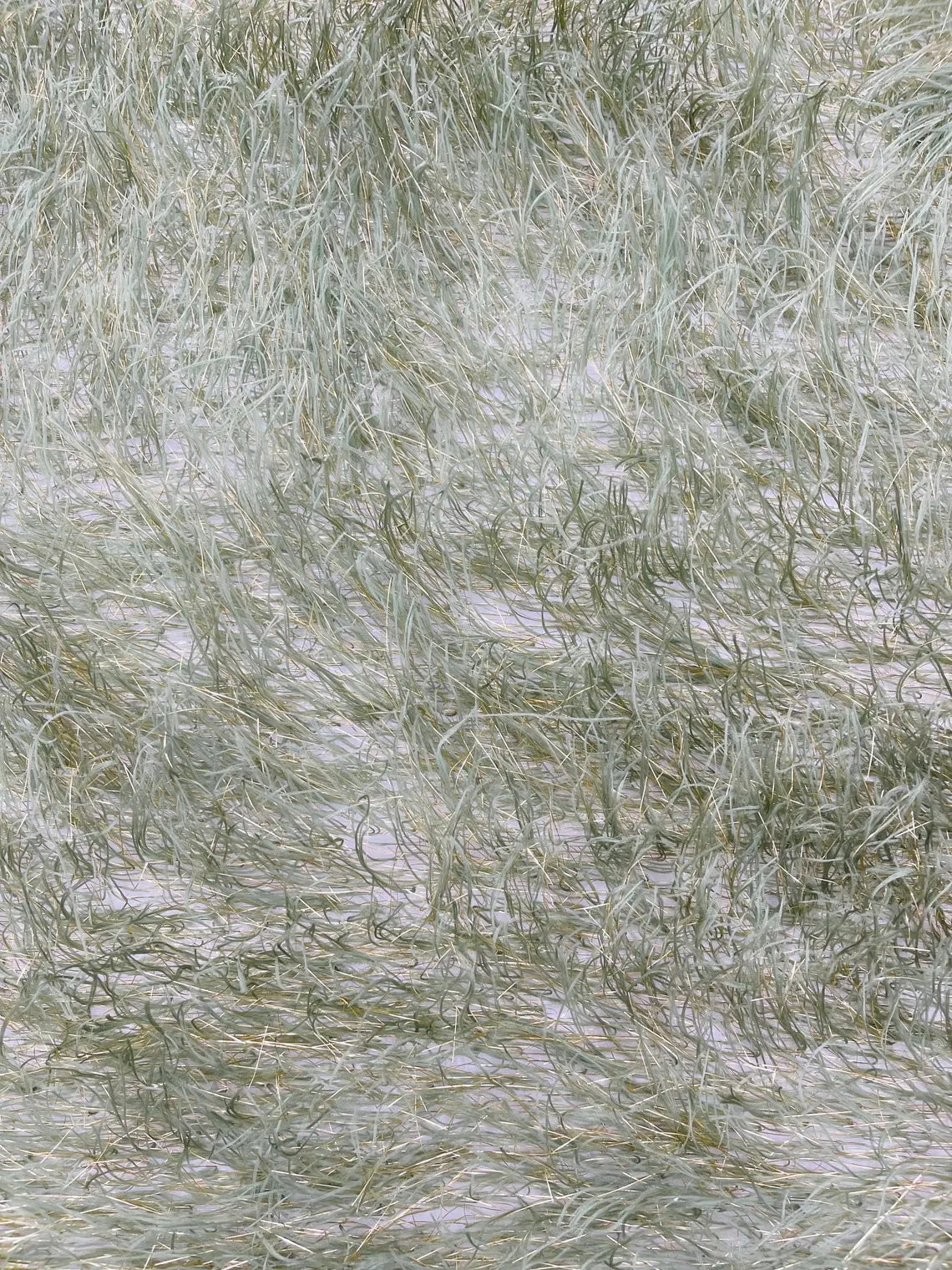 Metallic Eyelash Fabric - Sage Green / Gold - Feather/Eyelash/Fringe Design on Mesh By Yard