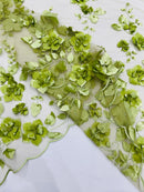 3D Floral Pearl Fabric - Sage - Embroidered Floral Pearl Fabric Double Border On Mesh By Yard
