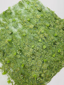 3D Flower Rhinestone Design - Sage Green - Embroidered Flower Sequins Lace Fabric By Yard