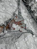 3D Glitter Floral Design Fabric - Silver on Black - Floral Line Design Embroidered Sequins Fabric by Yard