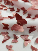 3D Butterfly Design Lace - Skin - Embroidered Lace with 3D Butterfly Design By Yard
