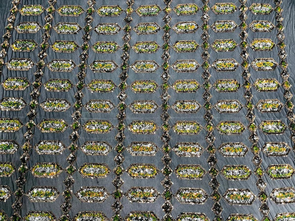 Geometric Stretch Sequin - Multi-Color Black - Fancy Gem Design on Mesh By Yard