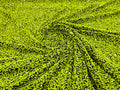 Lime Green Sequin Fabric on Black Stretch Velvet - by the yard - Sequins 2 Way Stretch  58/60”