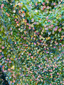 Velvet Stretch Sequins - Irisdescent Clear Sequins on Olive 2 Way Stretch Velvet Fabric 58/60”