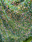 Velvet Stretch Sequins - Irisdescent Clear Sequins on Olive 2 Way Stretch Velvet Fabric 58/60”