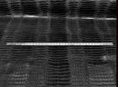 Crocodile Faux Leather Vinyl - 3D Scales Vinyl Crocodile Fabric - Different Colors - Sold By Yard
