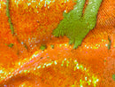 Reversible Sequins - Neon Yellow / Neon Orange - Mermaid Sequins Stretch Fabric By Yard
