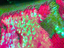 Reversible Sequins - Hot Pink / Lime Green - Mermaid Sequins Stretch Fabric By Yard