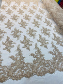 Lace Fabric - Champagne - Corded Flower Embroidery With Sequins on Mesh Polyester By The Yard