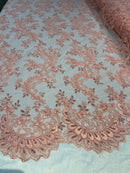 Lace Sequins Fabric - Coral - Corded Flower Embroidery Design Mesh Fabric By The Yard