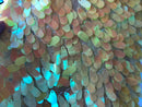 Iridescent Oval Tear Drop Sequins Fabric Irisdescent Yellow Mermaid Shiny Fabric By The Yard