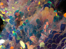 Iridescent Oval Tear Drop Sequins Fabric Irisdescent Clear Mermaid Shiny Fabric By The Yard