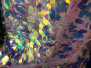 Iridescent Oval Tear Drop Sequins Fabric Irisdescent Clear Mermaid Shiny Fabric By The Yard