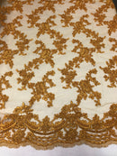 Beaded - Gold - Embroided Small Flower Fabric with Decorated Borders - Sold by The Yard