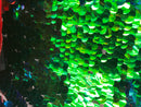 Iridescent - Blue/Green - Circle Sequins Hologram Fabric - Multi-Color Fabric Sold By The Yard