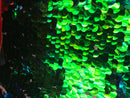 Iridescent - Blue/Green - Circle Sequins Hologram Fabric - Multi-Color Fabric Sold By The Yard