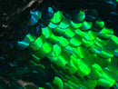 Iridescent - Blue/Green - Circle Sequins Hologram Fabric - Multi-Color Fabric Sold By The Yard