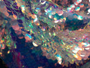 Iridescent - Clear Pink - Circle Sequins Hologram Fabric - Multi-Color Fabric Sold By The Yard