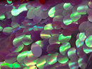 Iridescent Sequins Hologram Fabric - Lilac/Aqua Oval Teardrops - 58 Inch Fabric Sold By The Yard