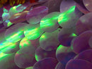 Iridescent Sequins Hologram Fabric - Lilac/Aqua Oval Teardrops - 58 Inch Fabric Sold By The Yard