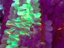 Iridescent Sequins Hologram Fabric - Lilac Oval Teardrops - 58 Inch Fabric Sold By The Yard