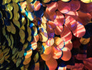 Iridescent Sequins Hologram Fabric - Multi-Color Oval Teardrops - 58 Inch Fabric Sold By The Yard