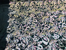 Reversible Velvet Sequins - Iridescent White / Silver 2 Way Stretch Pattern Sequins on Black Velvet