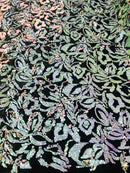 Reversible Velvet Sequins - Iridescent Unicorn - 2 Way Stretch Pattern Sequins on Black Velvet