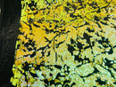 Reversible Velvet Sequins - Iridescent Yellow - 2 Way Stretch Shiny Sequins Fabric Black Velvet