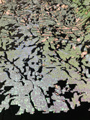 Reversible Velvet Sequins - Pink / Lilac Iridescent 2 Way Stretch Shiny Sequins Fabric Black Velvet