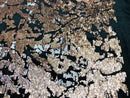 Reversible Velvet Sequins - Rose Gold / White - 2 Way Stretch Shiny Sequins Fabric on Black Velvet