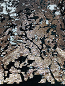 Reversible Velvet Sequins - Rose Gold / White - 2 Way Stretch Shiny Sequins Fabric on Black Velvet