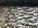 Beaded Fabric - Black - Embroidered Flower Line Mesh Lace Fabric with Beads Sold By The Yard