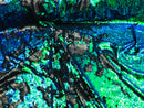 Two Tone Reversible - Jade Blue / Green - 2 Way Stretch Iridescent Shiny Sequins Fabric By The Yard
