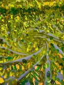 Iridescent Jumbo Oval Sequins - Lime Green - Paillette Oval Sequins Fabric on Mesh Sold By Yard