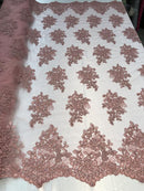 Flower Lace Fabric - Floral Clusters Embroidered Lace Mesh Fabric - 25 Yard Roll